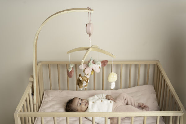 Giostrina musicale in legno - Fairy Garden FSC